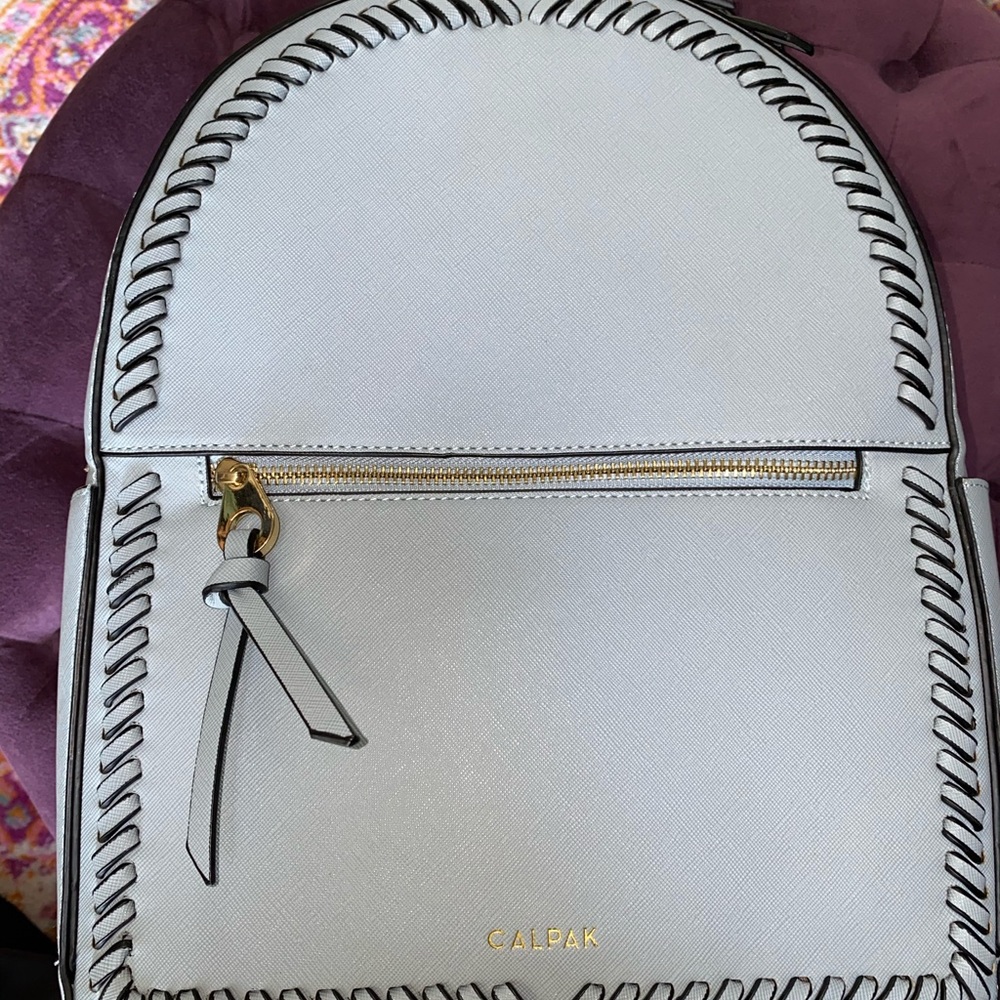 Calpak backpack